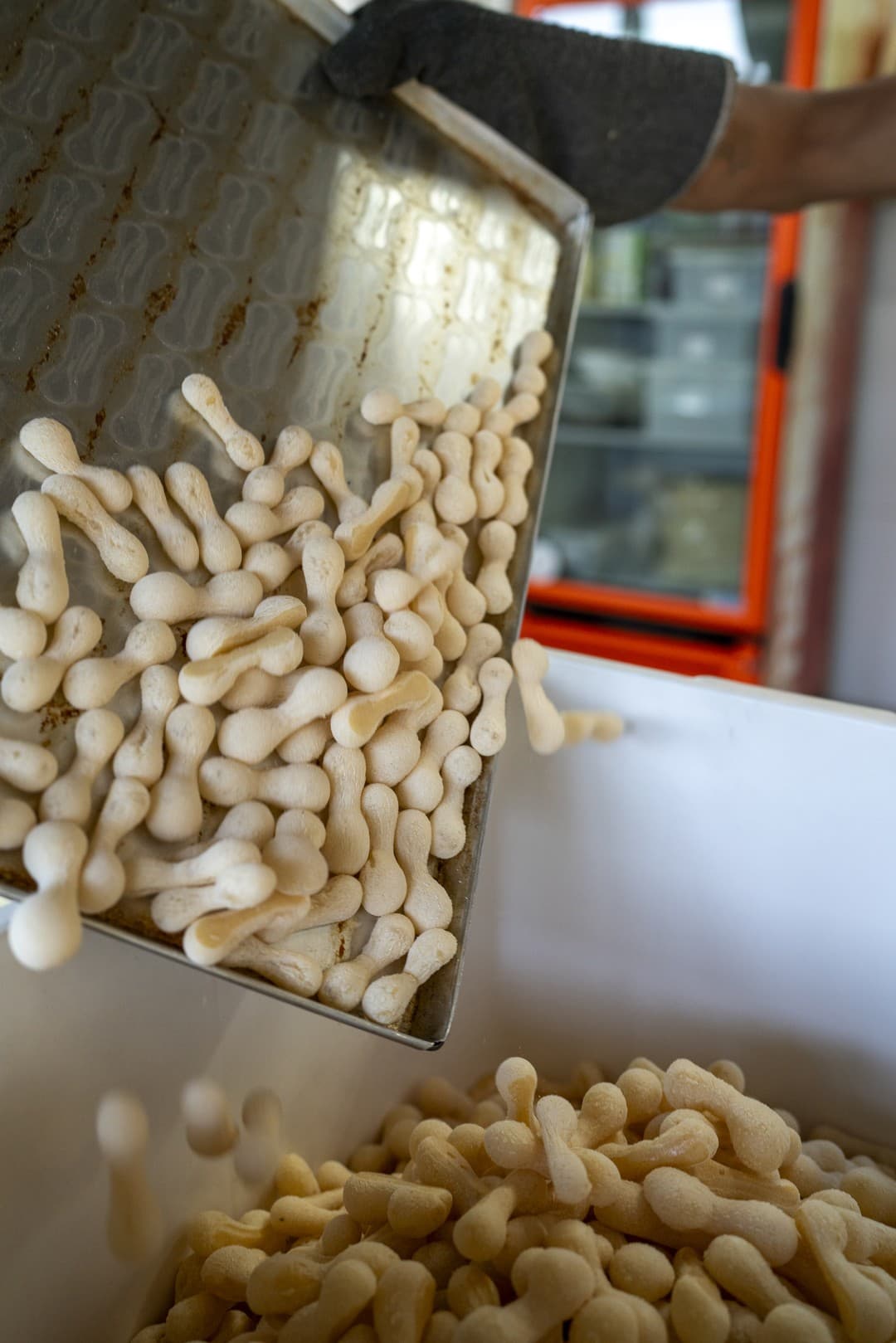 Biscoitos de polvilho sendo produzidos